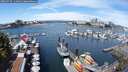 ./images/victoria/wharf/20250725/wharf20250725_114011M.jpg