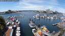 ./images/victoria/wharf/20250725/wharf20250725_125510M.jpg