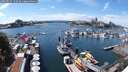 ./images/victoria/wharf/20250725/wharf20250725_142509M.jpg