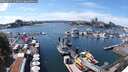 ./images/victoria/wharf/20250725/wharf20250725_144012M.jpg