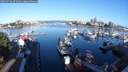 ./images/victoria/wharf/20250726/wharf20250726_075010M.jpg