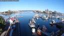 ./images/victoria/wharf/20250726/wharf20250726_081511M.jpg