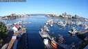 ./images/victoria/wharf/20250726/wharf20250726_083510M.jpg