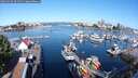./images/victoria/wharf/20250726/wharf20250726_091511M.jpg