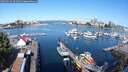 ./images/victoria/wharf/20250726/wharf20250726_094009M.jpg