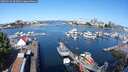 ./images/victoria/wharf/20250726/wharf20250726_095010M.jpg