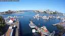./images/victoria/wharf/20250726/wharf20250726_095509M.jpg