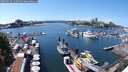 ./images/victoria/wharf/20250726/wharf20250726_142510M.jpg