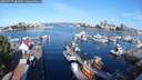 ./images/victoria/wharf/20250727/wharf20250727_085010M.jpg
