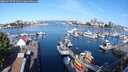 ./images/victoria/wharf/20250727/wharf20250727_091010M.jpg