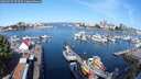 ./images/victoria/wharf/20250727/wharf20250727_093509M.jpg