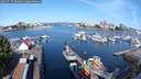 ./images/victoria/wharf/20250727/wharf20250727_094011M.jpg