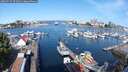 ./images/victoria/wharf/20250727/wharf20250727_095010M.jpg