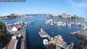 ./images/victoria/wharf/20250727/wharf20250727_100012M.jpg