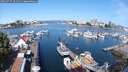 ./images/victoria/wharf/20250727/wharf20250727_101511M.jpg