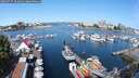 ./images/victoria/wharf/20250727/wharf20250727_103010M.jpg