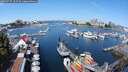 ./images/victoria/wharf/20250727/wharf20250727_105510M.jpg