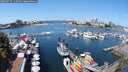 ./images/victoria/wharf/20250727/wharf20250727_115010M.jpg