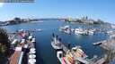 ./images/victoria/wharf/20250727/wharf20250727_130509M.jpg