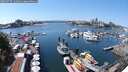 ./images/victoria/wharf/20250727/wharf20250727_141011M.jpg