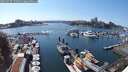 ./images/victoria/wharf/20250727/wharf20250727_155511M.jpg