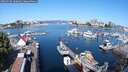./images/victoria/wharf/20250728/wharf20250728_100009M.jpg