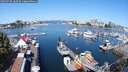 ./images/victoria/wharf/20250728/wharf20250728_102509M.jpg