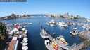 ./images/victoria/wharf/20250728/wharf20250728_113509M.jpg