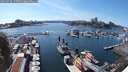 ./images/victoria/wharf/20250728/wharf20250728_155011M.jpg