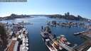 ./images/victoria/wharf/20250729/wharf20250729_170510M.jpg