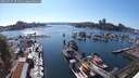./images/victoria/wharf/20250729/wharf20250729_171512M.jpg