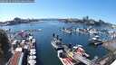 ./images/victoria/wharf/20250810/wharf20250810_152009M.jpg