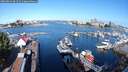 ./images/victoria/wharf/20250813/wharf20250813_091511M.jpg