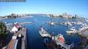 ./images/victoria/wharf/20250813/wharf20250813_092510M.jpg