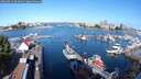 ./images/victoria/wharf/20250813/wharf20250813_093011M.jpg
