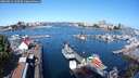 ./images/victoria/wharf/20250813/wharf20250813_100509M.jpg