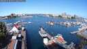 ./images/victoria/wharf/20250813/wharf20250813_101511M.jpg