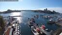 ./images/victoria/wharf/20250813/wharf20250813_172510M.jpg