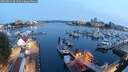 ./images/victoria/wharf/20250814/wharf20250814_054508M.jpg