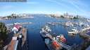 ./images/victoria/wharf/20250814/wharf20250814_085008M.jpg