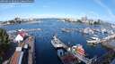 ./images/victoria/wharf/20250814/wharf20250814_092011M.jpg