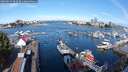 ./images/victoria/wharf/20250814/wharf20250814_092510M.jpg