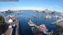 ./images/victoria/wharf/20250814/wharf20250814_094011M.jpg