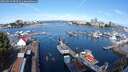 ./images/victoria/wharf/20250814/wharf20250814_094511M.jpg