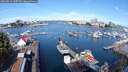 ./images/victoria/wharf/20250814/wharf20250814_100510M.jpg