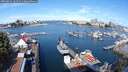 ./images/victoria/wharf/20250814/wharf20250814_102510M.jpg