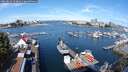 ./images/victoria/wharf/20250814/wharf20250814_103010M.jpg