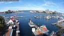 ./images/victoria/wharf/20250814/wharf20250814_103510M.jpg