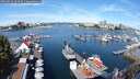 ./images/victoria/wharf/20250814/wharf20250814_104511M.jpg