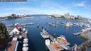 ./images/victoria/wharf/20250814/wharf20250814_105510M.jpg